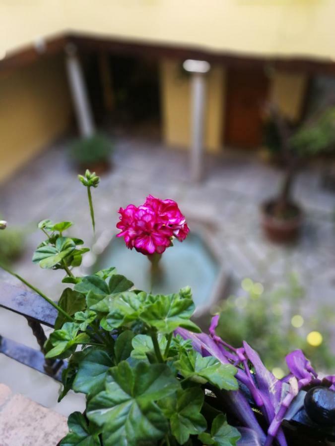 Alh Patio Apartamentos Granada Exterior foto
